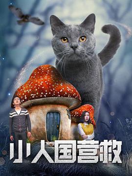 风间由美息子