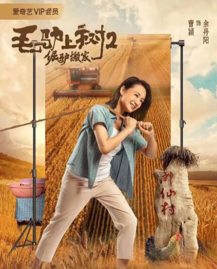 轻佻寡妇在线观看